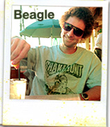 Beagle Collection